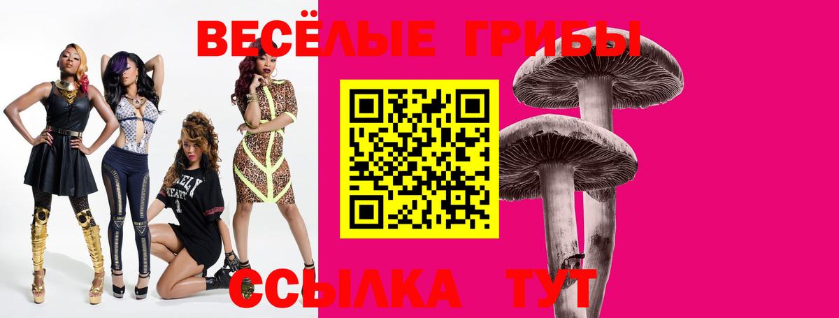 Галлюциногенные грибы MAGIC MUSHROOMS  Вход с VPN  Темрюк 